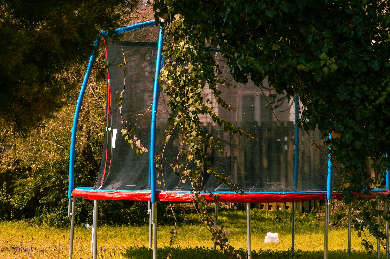 Quels sont les meilleurs tranpoline du marché ?